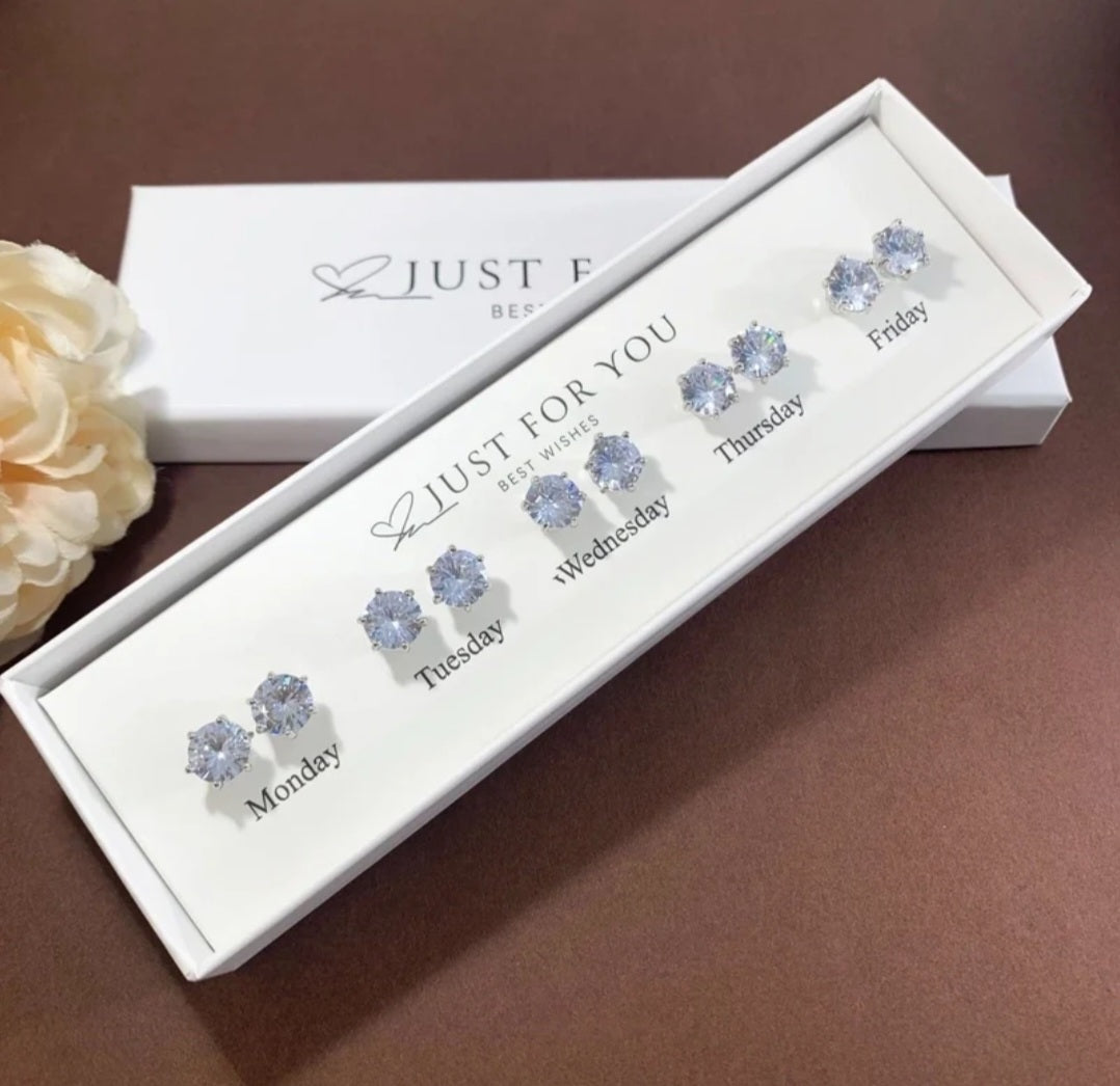 5 in 1 Sterling Silver Earrings
