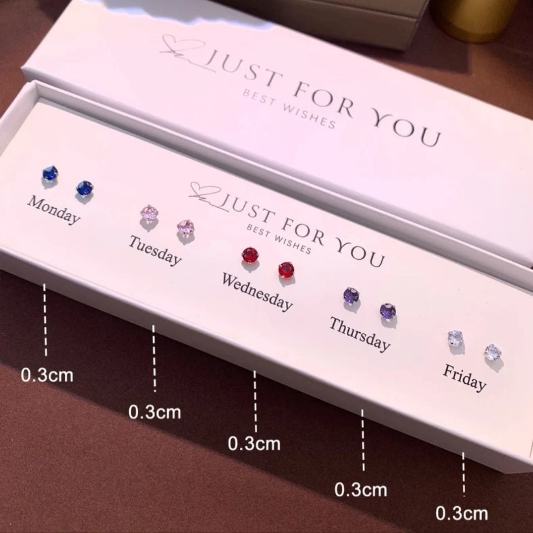 5 in 1 Sterling Silver Earrings