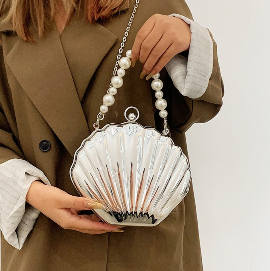 Beautiful Shell Bag