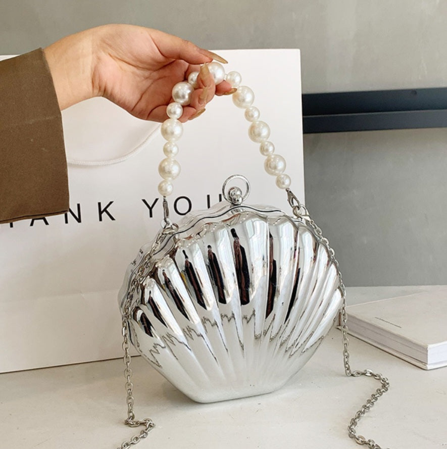 Beautiful Shell Bag